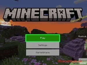 Cross - platform of Minecraft PE