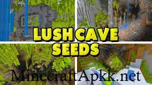 Best Minecraft 1.20 Lush Cave Seeds