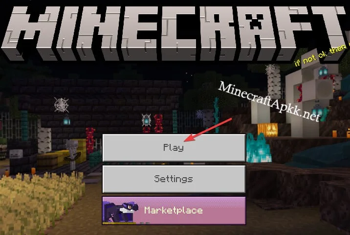 Play the Minecraft Game