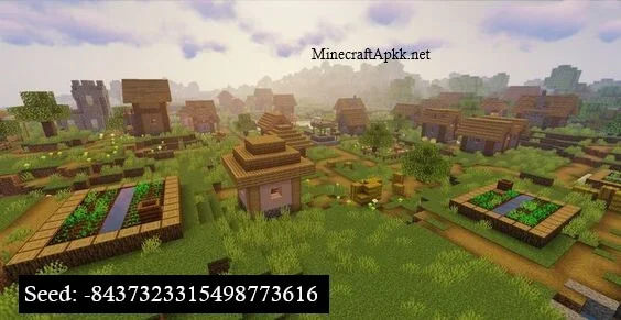 Triple Village Seed