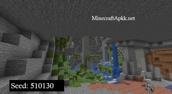 Underwater Lush Cave Seed